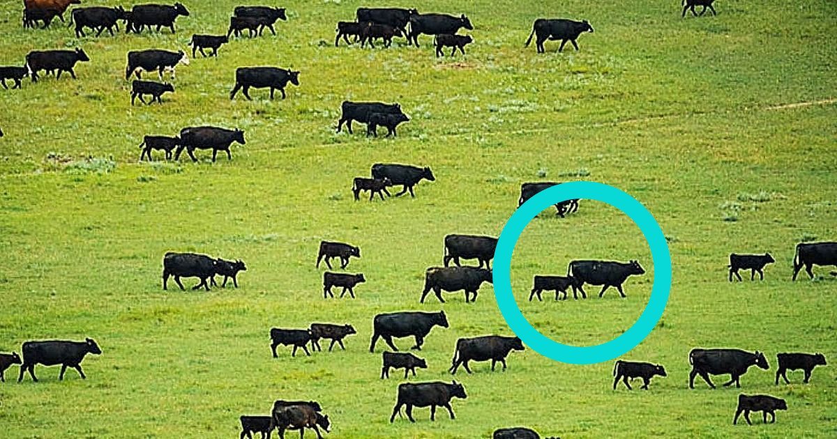 Read more about the article 11 zaskakujących zagadek naukowych, których do tej pory nie udało się rozwikłać