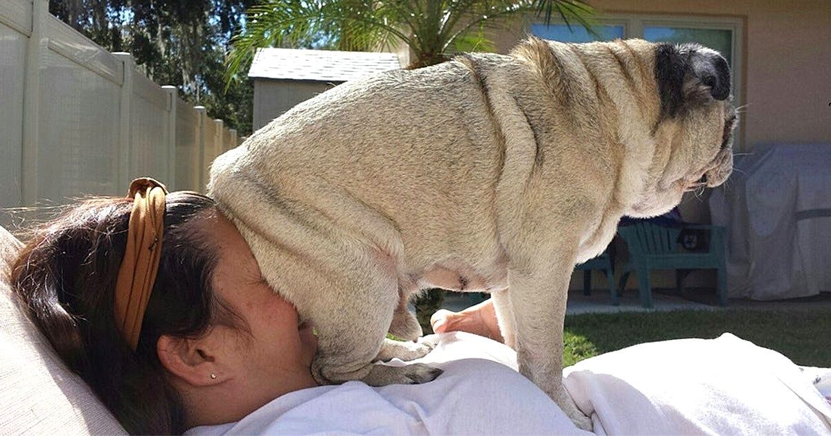 Read more about the article 18 zwierząt, które kompletnie straciły poczucie wstydu