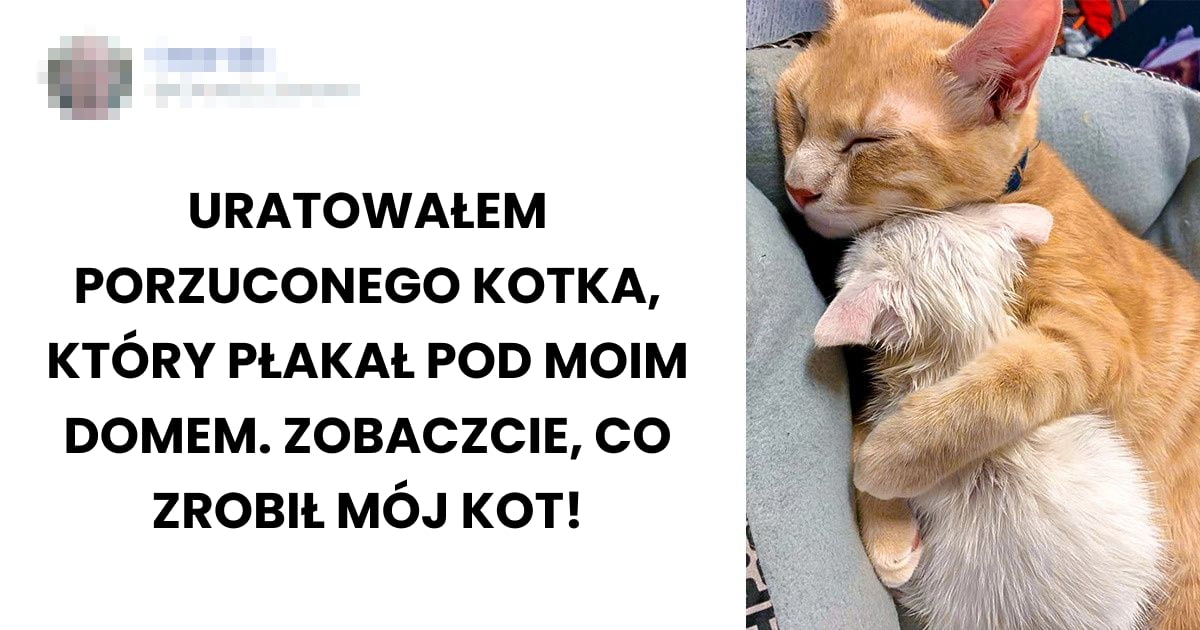 Read more about the article 17 uroczych zwierzaków, które udowadniają, że mają w sobie mnóstwo miłości