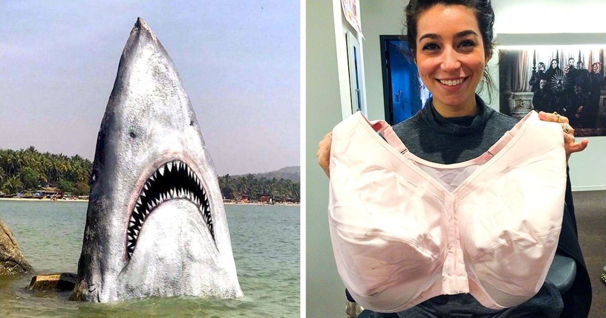 Read more about the article 15 przypadków, w których życie udowodniło, że jest pełne niespodzianek