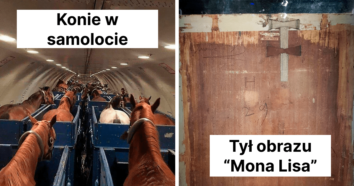 Read more about the article 49 rzadkich zdjęć, które ukazują nieznaną stronę otaczającego nas świata