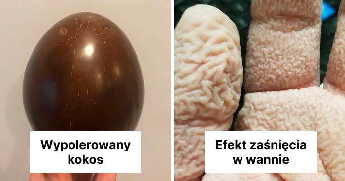 Read more about the article 39 przypadkowych eksperymentów naukowych, które dały zaskakujące rezultaty