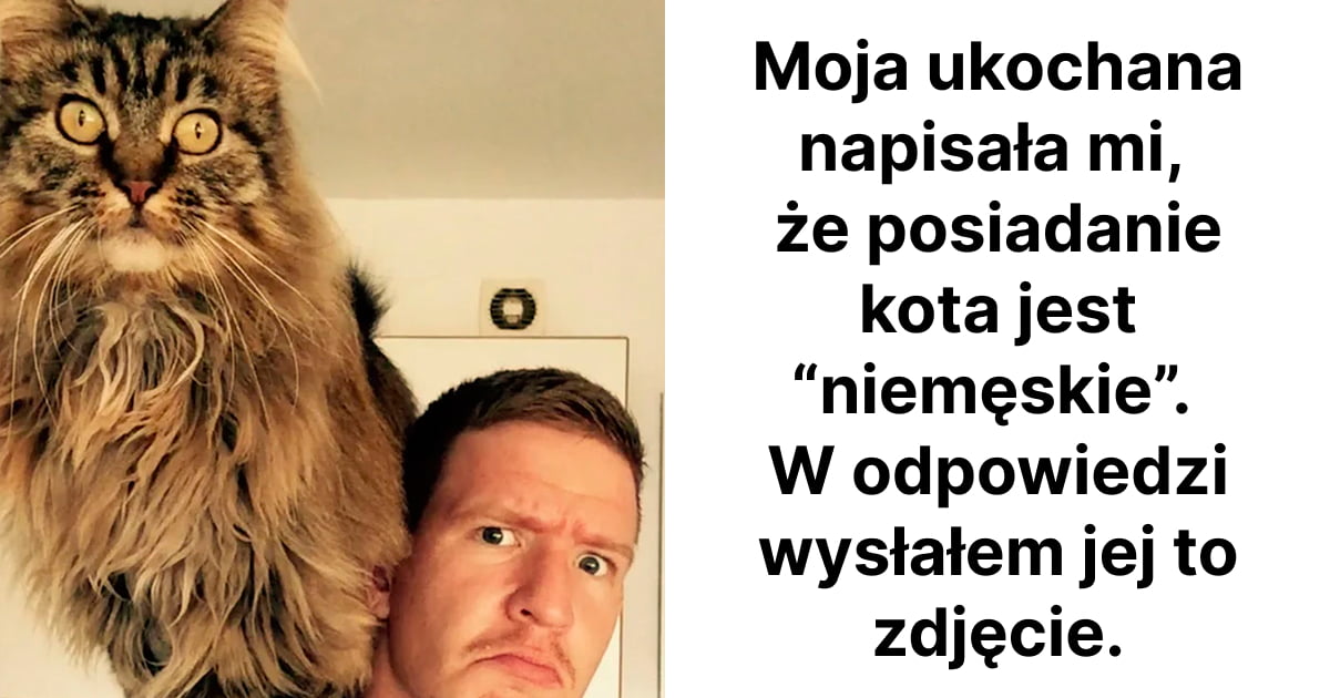 Read more about the article 39 najzabawniejszych zdjęć kotów, jakie udało nam się ostatnio znaleźć w Internecie