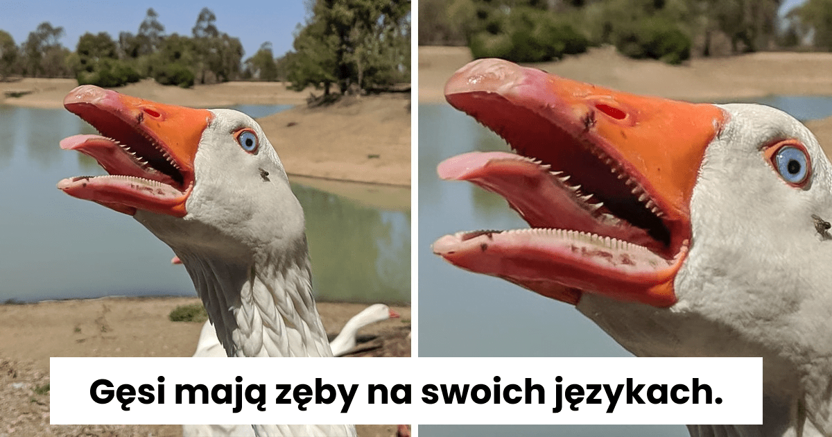 Read more about the article 15 zdumiewających cudów codzienności, które pomagają wyrwać się z szarej monotonii