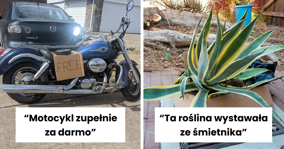 Read more about the article 40 najbardziej wartościowych znalezisk, na które ludzie natknęli się na śmietnikach