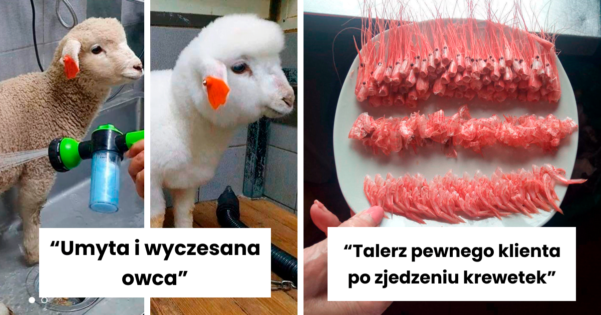 Read more about the article 50 przykładów wizualnej harmonii, które są niewytłumaczalnie satysfakcjonujące (nowe zdjęcia!)