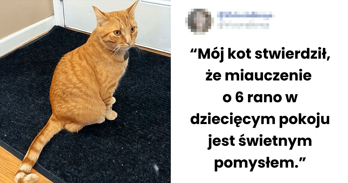 Read more about the article 20 złośliwych kotów, które postanowiły nieco utrudnić życie swoim właścicielom