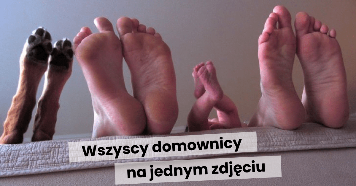 Read more about the article 24 rodzinne zdjęcia, które rozgrzewają serce nawet w najtrudniejsze dni