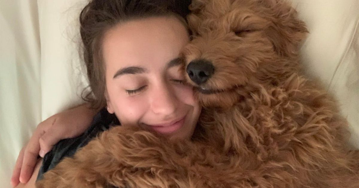 Read more about the article Masz psa? Dzięki temu wspaniałemu zwierzęciu możesz zmniejszyć ryzyko chorób serca