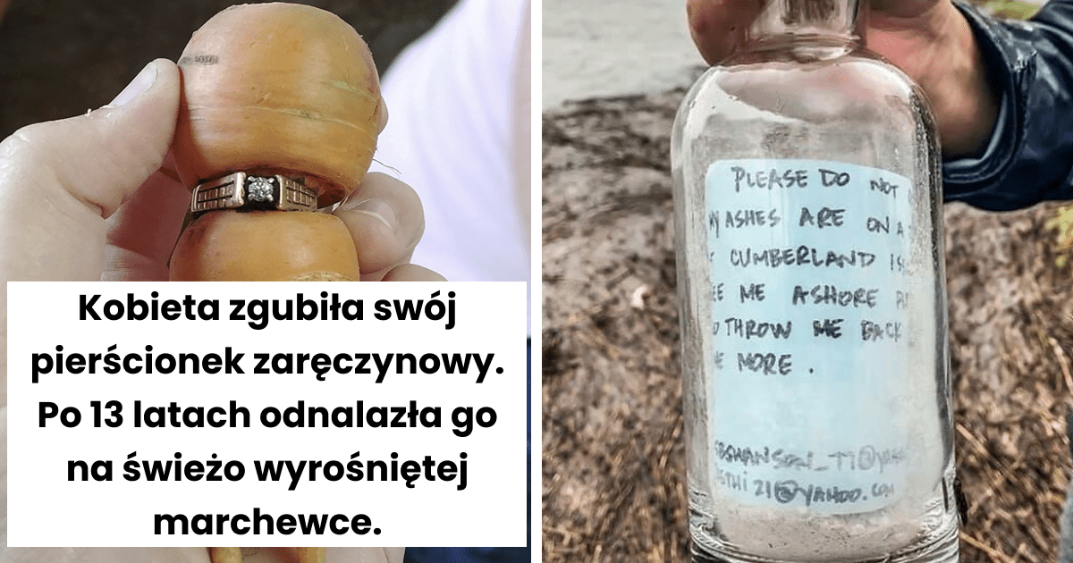 Read more about the article 37 niesamowitych znalezisk, których zdjęciami internauci podzielili się w pewnej internetowej grupie