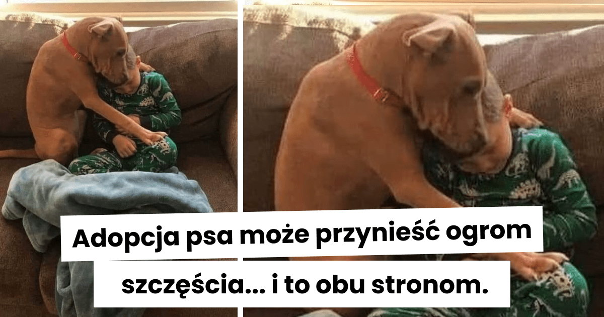 Read more about the article 20 pięknych fotograficznych dowodów na to, że relacja człowieka i zwierzęcia to coś niesamowitego