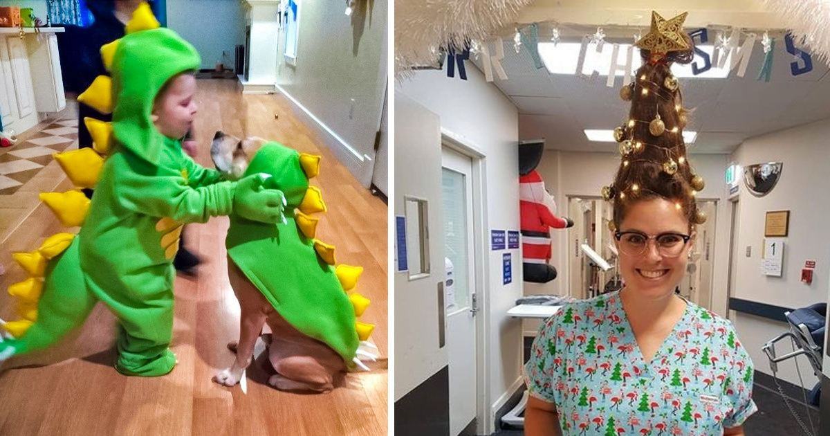 Read more about the article 16 śmiesznych i uroczych zdjęć, które błyskawicznie poprawią nawet najsłabszy nastrój